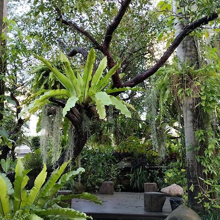 Sareeviengping Hotel Chiangmai Чіангмай Екстер'єр фото