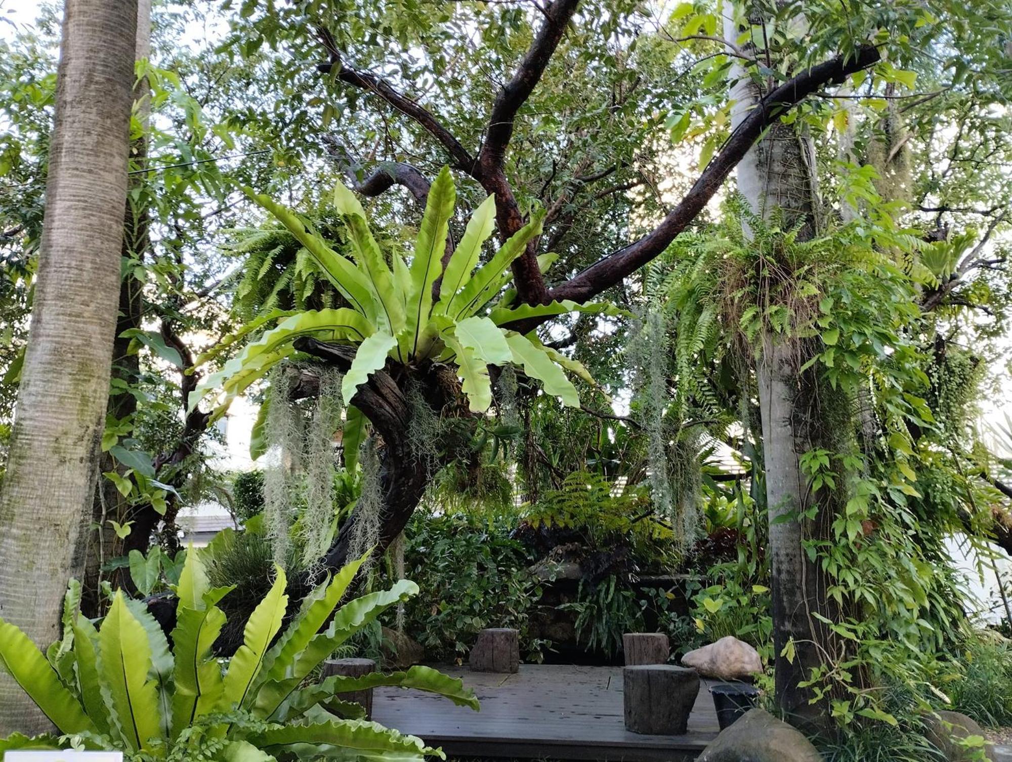 Sareeviengping Hotel Chiangmai Чіангмай Екстер'єр фото